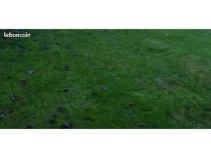 Terrain constructible de 846m² à COLPO CENTRE