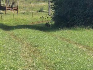 Cherche terrain agricole