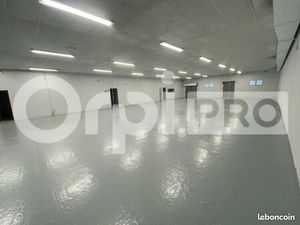 Local d'activité 1 180 m²