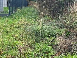 Terrain à bâtir bourg Lanveoc
