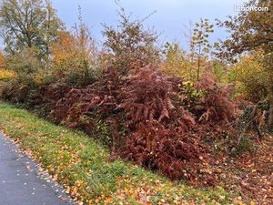 Terrain proche d une base de loisir a mansigné