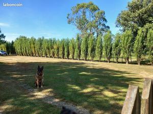 Terrain à Pornichet 1850m2