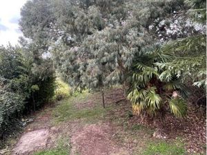 Vente terrain montech