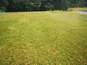 Terrain constructible