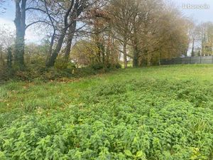 Terrain viabilisé Stival