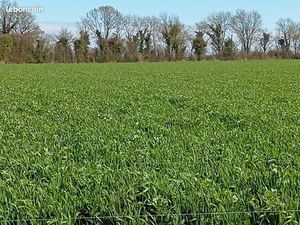 Recherche terres agricoles