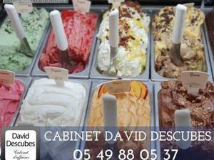 CABINET DAVID DESCUBES