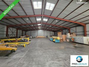 Local d'activité 1 000 m²