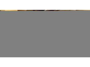 Appartement T3 à vendre en exclusivité chez Foncia