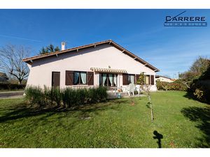 CARIGNAN DE BORDEAUX