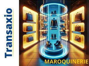 TRANSAXIO SERVICES ET DEVELOPPEMENT