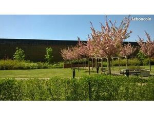 Location T2 Faches Thumesnil