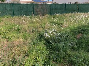 Terrain Viabilité 653m2