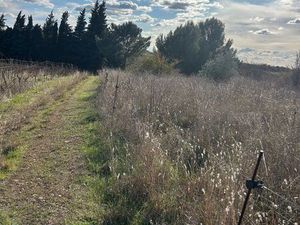 Vends terrain agricole