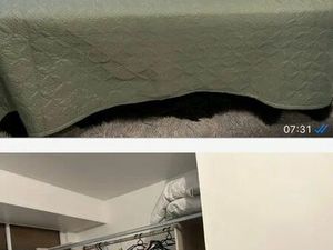 Location appartement 1 pièce 15 m² à Boussy-Saint-Antoine (91800)