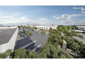 Local d'activité 2 389 m²