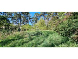 Grand terrain boisée constructible à Saint Hilaire De Riez 2663 m2