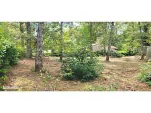 Terrain 1 032 m² Saint Michel De Rieufret