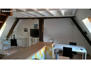 Duplex T1-Bis de charme  hypercentre Angers