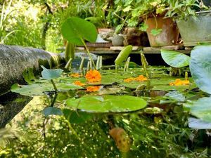 Recherche maison à louer - Ganges et ces alentours