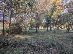 BIOT. TERRAIN PROCHE D'AIR FRANCE DE + 1 300 M².