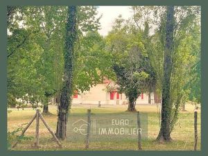FERME SUR 6 HECTARES (ha) -Bazas centre - dépendances - possibl