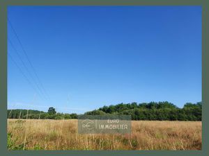 Terrain à bâtir industriel et professionnel-7120m²-BAZAS-Gi