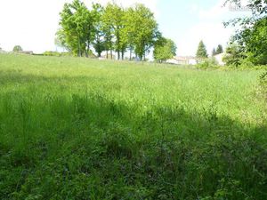 Terrains constructibles