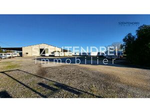 Immobilier Professionnel à vendre Saint-Laurent-d'Aigouze