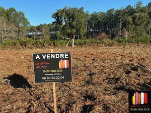 Terrain en lotissement