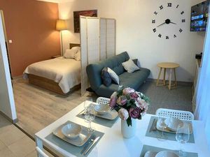 Grand studio meublé