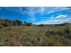 Loue terrain agricole 11000m2