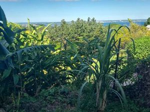 Bas de villa vue mer dans un quartier calme