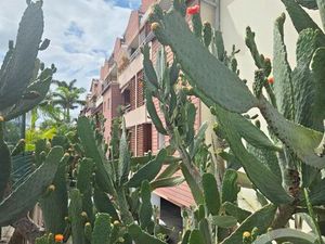 Appartement F2 à vendre - 2 pièces - 46 04 m2 - St Denis - 974 - REUNION