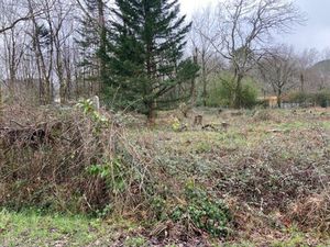 Annonce vente terrain terrain de 503m2 à Léognan (33850) - ParuVendu.fr ref 992784174738