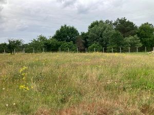 Annonce vente terrain terrain de m2 à Les peintures (33230) - ParuVendu.fr ref 99278417424