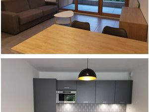 Loue T2 1ch Annemasse face à la Gare CEVA Genève