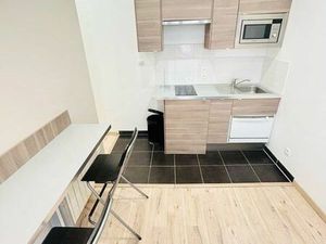 Location appartement 3 pièces 30 m² à Lyon 1 (69001)