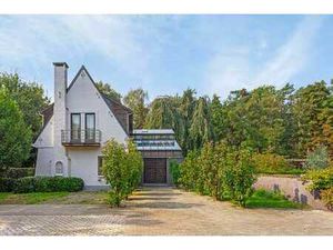 Maison et annexe dans un écrin architectural vert