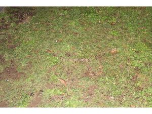 16590 BRIE A VENDRE TERRAIN CONSTRUCTIBLE DE 683 M² plat et borné