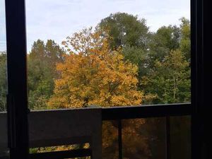 Bel appartement rénové au coeur d'un parc-Résidence calme