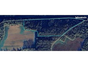 2 parcelles de terrains boisés à vendre