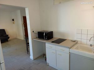 Grand studio meublé 31m² proche Facultés / Universités - Parking + cave