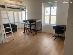 Très beau studio meublé 29 m2 refait à neuf plein centre  sans frais d’agence