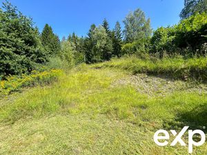 Terrain de 1541 m² dont 800 m² constructibles