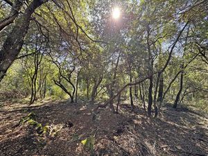 Exclusivité- Terrain Inconstructible..