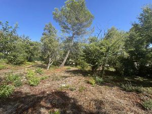 Opio – Terrain Constructible