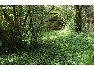 Terrain de loisir (cultivable) proche de Clamecy