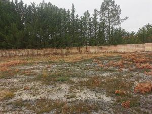 Vente terrain 724 m² Biscarrosse (40600)