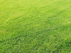 Vente Terrain à Erquy (22430) : à vendre / Erquy